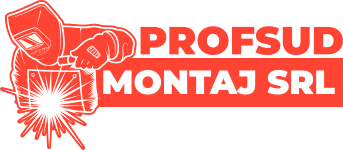Sudor profesionist